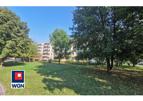 Mieszkanie na sprzedaż - Witosa Brodnica, Brodnicki, 49 m², 249 000 PLN, NET-25000154