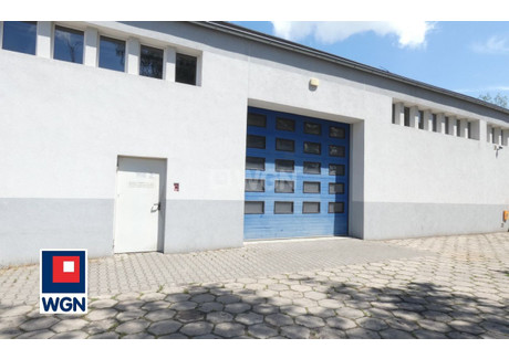 Fabryka, zakład do wynajęcia - Radłowska Ostrów Wielkopolski, Ostrowski, 350 m², 4800 PLN, NET-8829