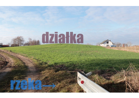 Działka na sprzedaż - Oćwieka Gąsawa (gm.), Żniński (pow.), 3002 m², 225 000 PLN, NET-DZIALKA/BUDOWLANA/NAD/RZEKA/OK/LASU/JEZIORA/GASAWA