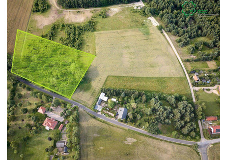 Działka na sprzedaż - Budziszewice Skoki, Wągrowiecki, 10 988 m², 758 172 PLN, NET-23930061