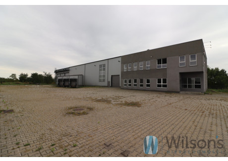 Magazyn do wynajęcia - Oczesały, Belsk Duży, 2830 m², 40 000 PLN, NET-WIL287080