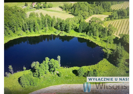 Działka na sprzedaż - Malinka, Wydminy, 153 738 m², 7 500 000 PLN, NET-WIL938523