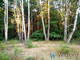 Leśne na sprzedaż - Niemianowice, Gózd, 3607 m², 198 385 PLN, NET-WIL232982
