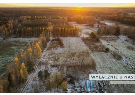 Działka na sprzedaż - Tomaszew, Wiskitki, 1380 m², 220 800 PLN, NET-WIL419487