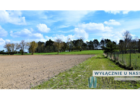 Działka na sprzedaż - Henrysin, Zakroczym, 3000 m², 205 000 PLN, NET-WIL675131