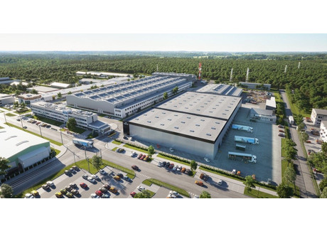 Magazyn do wynajęcia - Placówka, Bielany, Warszawa, Warszawa M., 600 m², 15 300 PLN, NET-WS2-HW-44600