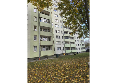 Mieszkanie na sprzedaż - Płocka Wola, Warszawa, Warszawa M., 42,4 m², 795 000 PLN, NET-WS2-MS-44622