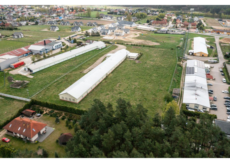 Hala na sprzedaż - Długa Kiełpino, Kartuzy, Kartuski, 1300 m², 4 900 000 PLN, NET-718044