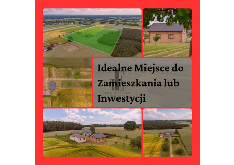 Działka na sprzedaż - Czarnoty, Nowe Miasto, Płoński, 130 000 m², 1 550 000 PLN, NET-EC007966182211