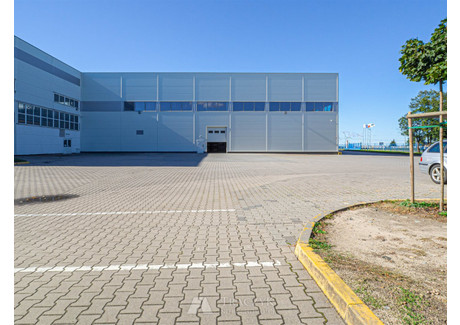 Magazyn do wynajęcia - Oława, Oławski, 1050 m², 28 000 PLN, NET-TRA-HW-5037