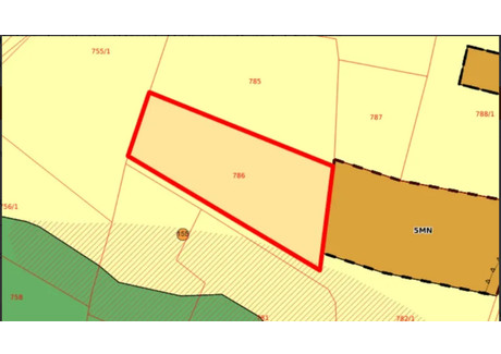 Działka na sprzedaż - Stróżna, Bobowa (Gm.), Gorlicki (Pow.), 4805 m², 31 900 PLN, NET-TTT-00000464