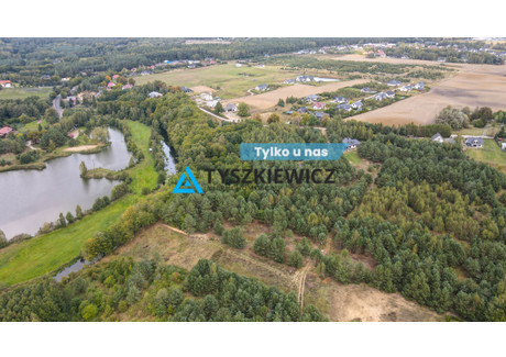 Działka na sprzedaż - Żabno, Starogard Gdański, Starogardzki, 3685 m², 180 000 PLN, NET-TY822775