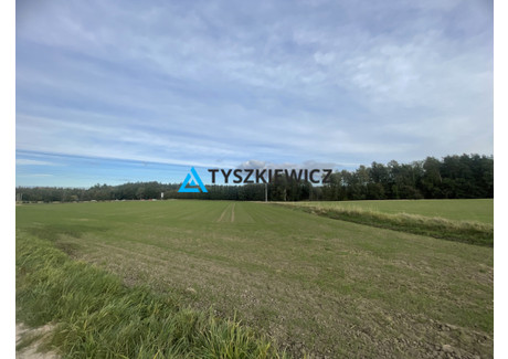 Działka na sprzedaż - Zenitowa Klukowo, Gdańsk, 12 600 m², 3 024 000 PLN, NET-TY677650