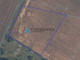 Działka na sprzedaż - Pawłowo, Chojnice, Chojnicki, 3397 m², 279 000 PLN, NET-TY703240