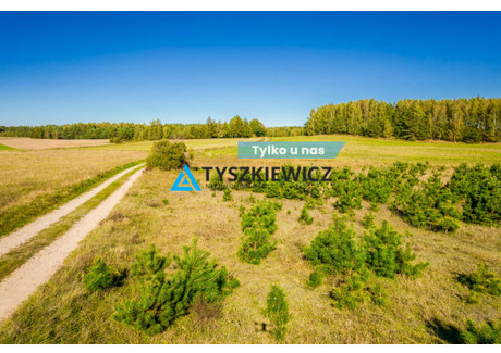 Działka na sprzedaż - Skorzewo, Kościerzyna, Kościerski, 52 678 m², 529 000 PLN, NET-TY596190