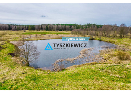 Działka na sprzedaż - Zielin, Trzebielino, Bytowski, 59 900 m², 299 900 PLN, NET-TY150497