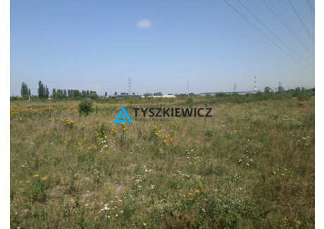 Działka na sprzedaż - Sitowie Rudniki, Gdańsk, 26 144 m², 2 614 400 PLN, NET-TY381965