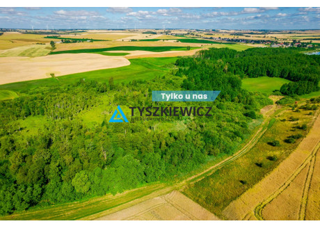 Działka na sprzedaż - Ciechocin, Chojnice, Chojnicki, 6400 m², 99 000 PLN, NET-TY611240