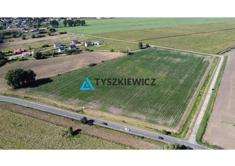 Działka na sprzedaż - Ogrodowa Rokitnica, Pruszcz Gdański, Gdański, 4262 m², 319 650 PLN, NET-TY371919