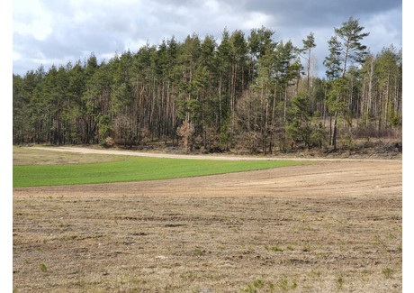 Działka na sprzedaż - Leśna Mściszewice, Sulęczyno, Kartuski, 9990 m², 399 600 PLN, NET-TY654502