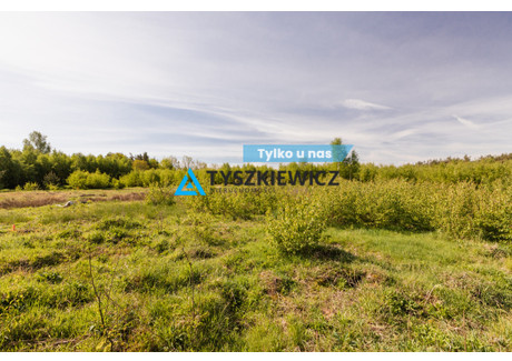 Działka na sprzedaż - Mściszewice, Sulęczyno, Kartuski, 3937 m², 159 900 PLN, NET-TY774474