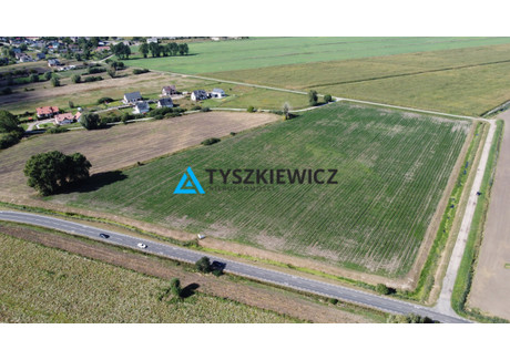 Działka na sprzedaż - Ogrodowa Rokitnica, Pruszcz Gdański, Gdański, 3270 m², 245 250 PLN, NET-TY119374