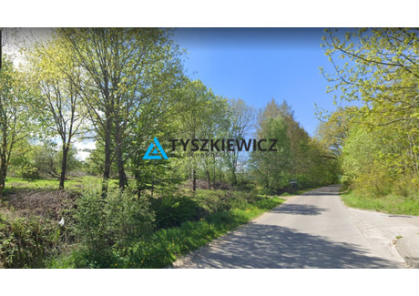 Działka na sprzedaż - Ciekocino, Choczewo, Wejherowski, 6066 m², 648 000 PLN, NET-TY802633