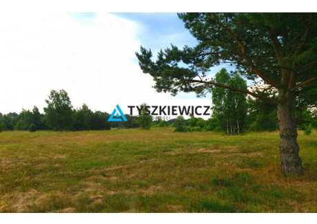 Działka na sprzedaż - Białogóra, Krokowa, Pucki, 3581 m², 952 000 PLN, NET-TY501665