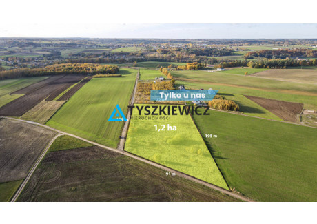 Działka na sprzedaż - Małkowo, Żukowo, Kartuski, 12 000 m², 1 547 000 PLN, NET-TY893165