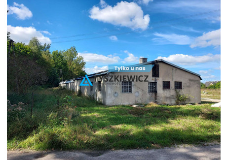 Hala do wynajęcia - Admirała Andrzeja Karwety Miszewko, Żukowo, Kartuski, 600 m², 8000 PLN, NET-TY520126