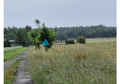 Działka na sprzedaż - Izbica, Główczyce, Słupski, 9684 m², 220 000 PLN, NET-TY345170