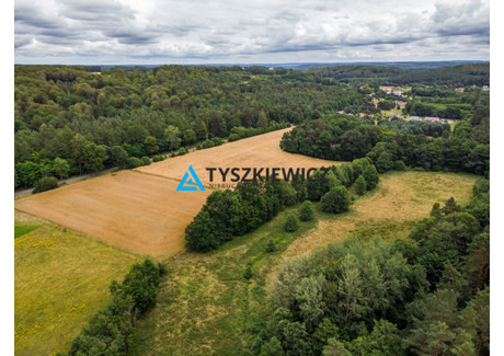 Działka na sprzedaż - Tadzino, Gniewino, Wejherowski, 14 500 m², 493 000 PLN, NET-TY308404