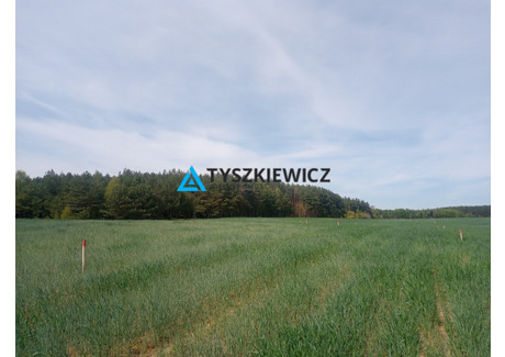 Działka na sprzedaż - Dąbrowa, Kaliska, Starogardzki, 1037 m², 139 810 PLN, NET-TY723525