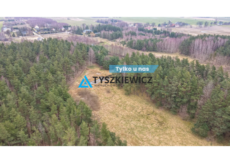 Działka na sprzedaż - Maciejki Gołębiewo Wielkie, Trąbki Wielkie, Gdański, 7500 m², 749 000 PLN, NET-TY173939