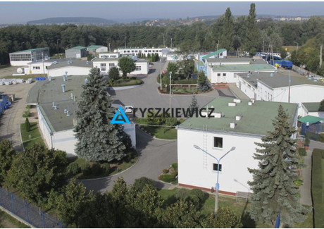 Biuro do wynajęcia - Zastawna Pruszcz Gdański, Gdański, 400 m², 16 000 PLN, NET-TY949114