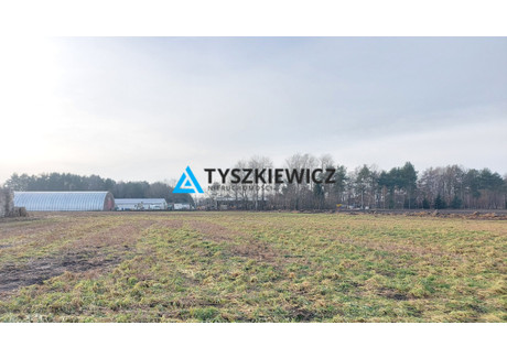 Działka na sprzedaż - Czynu Tysiąclecia Bojano, Szemud, Wejherowski, 3170 m², 1 046 100 PLN, NET-TY742976