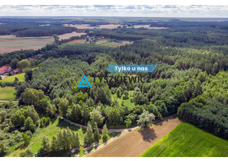 Działka na sprzedaż - Lipy, Stara Kiszewa, Kościerski, 45 000 m², 495 000 PLN, NET-TY506544