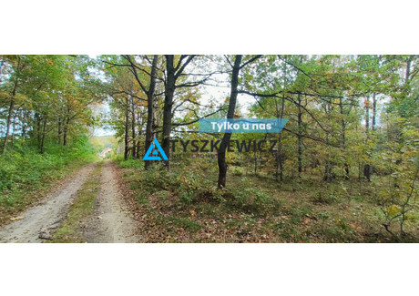 Działka na sprzedaż - Krosnowo, Borzytuchom, Bytowski, 1579 m², 102 635 PLN, NET-TY662520