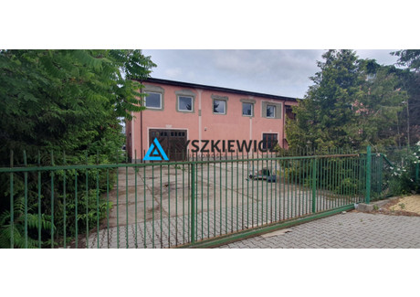 Hala do wynajęcia - Ignacego Łukasiewicza Pruszcz Gdański, Gdański, 550 m², 11 000 PLN, NET-TY866457
