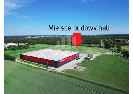 Magazyn, hala do wynajęcia - Płaczewska Koteże, Starogard Gdański, Starogardzki, 10 000 m², 215 000 PLN, NET-24/9862/OHW