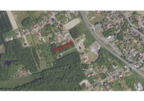 Działka na sprzedaż - Olszyna, Lubański, 2692 m², 145 000 PLN, NET-926631