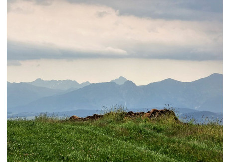 Działka na sprzedaż - Piekielnik, Czarny Dunajec, Nowotarski, 2042 m², 595 000 PLN, NET-1994864