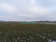 Działka na sprzedaż - Żaby, Baranów, Grodziski, 79 000 m², 7 900 000 PLN, NET-1001/6166/OGS