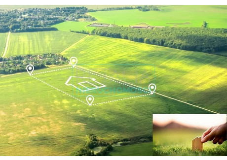 Działka na sprzedaż - Słubica A, Żabia Wola, Grodziski, 4790 m², 455 050 PLN, NET-2847/6166/OGS