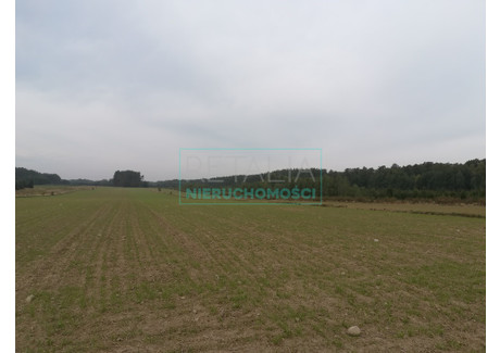 Działka na sprzedaż - Radziejowice, Żyrardowski, 34 300 m², 1 543 500 PLN, NET-5251/6166/OGS