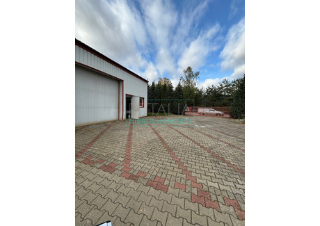 Magazyn, hala do wynajęcia - Stanisławów, Baranów, Grodziski, 200 m², 4500 PLN, NET-33/6166/OOW