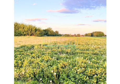 Działka na sprzedaż - Święcice, Ożarów Mazowiecki, Warszawski Zachodni, 1000 m², 420 000 PLN, NET-4405/6166/OGS