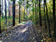 Leśne na sprzedaż - Bieniewiec, Żabia Wola, Grodziski, 2000 m², 450 000 PLN, NET-882/6166/OGS