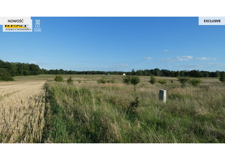 Działka na sprzedaż - Kamieniec, Kołbaskowo, Policki, 3088 m², 217 000 PLN, NET-3654/7376/OGS