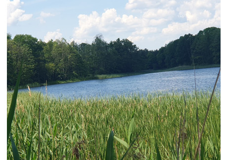 Działka na sprzedaż - Zieleniewo, Bierzwnik, Choszczeński, 3030 m², 61 000 PLN, NET-INB20563